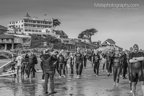 Burgh Island Swim 2021