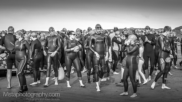 Burgh Island Swim 2034